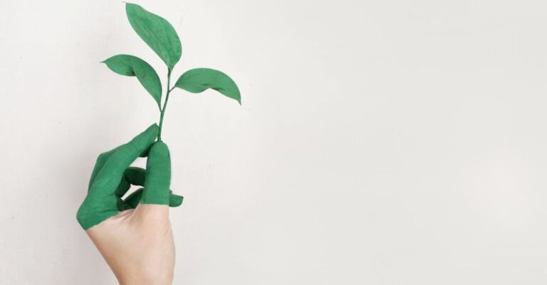 How Do Startups Balance Growth with Sustainability?